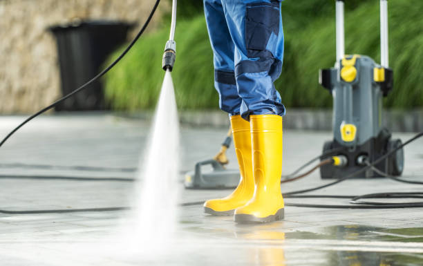 Best Roof Pressure Washing  in Gulf Shores, AL